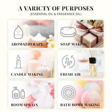 Load image into Gallery viewer, Plant Essence 100% Pure Essential Aromatherapy Oil 10ML with Dropper
